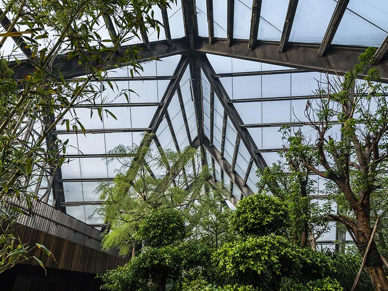 鋼構造植物ホール